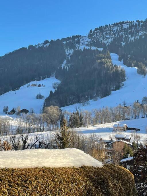 Charmant Studio + Jardin Vue Pistes Et Local Velo Praz-sur-Arly Exterior photo
